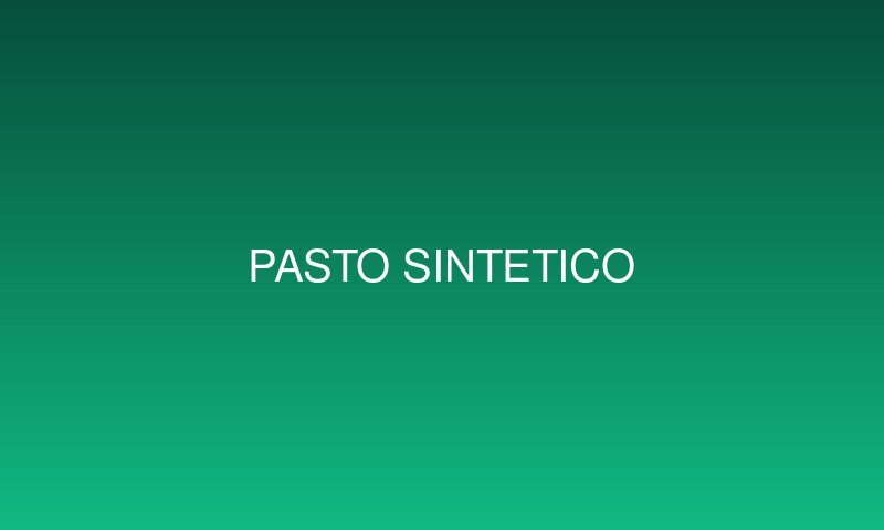 Cancha de Pasto sintético — B/Brigida C/Pablo Busch y Landivar